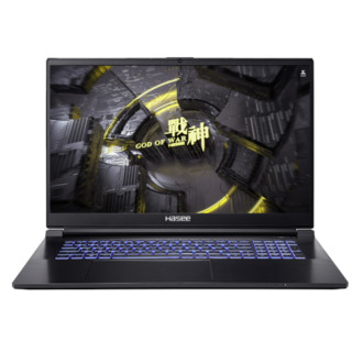 Hasee 神舟 战神G8-DA7NP 17.3英寸游戏本电脑（i7-12700H、16GB、512GB、RTX3060）