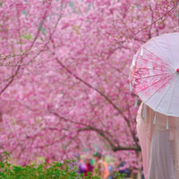 武汉光谷凯悦酒店 凯悦大床房1晚 含早+2大1小汉服换装体验+甜品礼包等