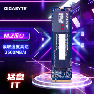 GIGABYTE 技嘉  1TB SSD固态硬盘猛盘 M.2接口 NVME系列