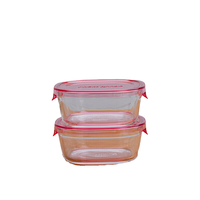 iwaki 怡万家 正方形保鲜盒 450ml*2个 粉色