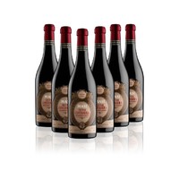 cdf会员购：MASI 玛希 蜜饯 阿马罗内特酿红葡萄酒 DOCG级 750ml*6