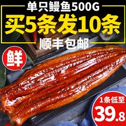 渔哥戏鱼 蒲烧鳗鱼500g/条