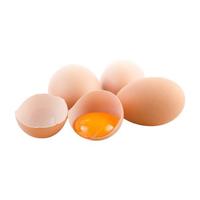 筱诺 散养土鸡蛋 10枚