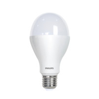PHILIPS 飞利浦 E27螺口经济型灯泡 15W 白光