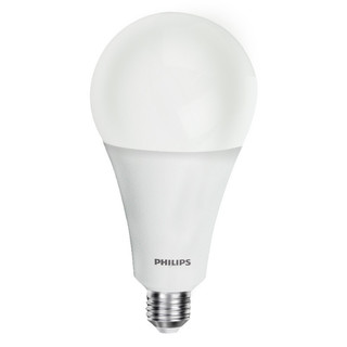 PHILIPS 飞利浦 E27螺口经济型灯泡 23W 白光