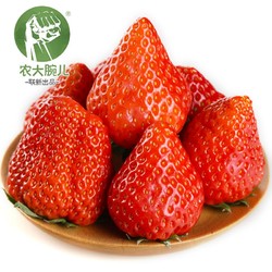 农大腕儿 丹东草莓3斤大果装 净重2.8斤