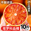 塔罗科血橙10斤新鲜水果当季整箱中华红甜橙手剥四川橙5包邮橙子