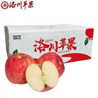 luochuanapple 洛川苹果 红富士冰糖心苹果  9枚 80mm