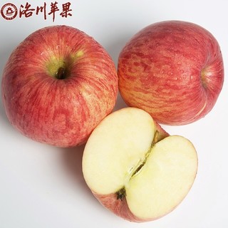 luochuanapple 洛川苹果 红富士苹果 带箱约10斤 单果70~75mm彩箱礼盒