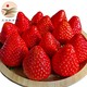 PLUS会员：三果夫 99丹东草莓水果礼盒 3斤推荐装