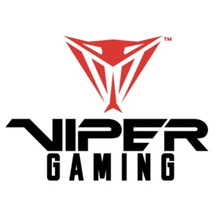 VIPER GAMING/博帝蟒龙