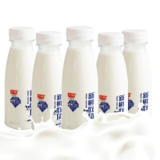 Bright 光明 新鲜牧场 高品质牛乳 250ml*8瓶