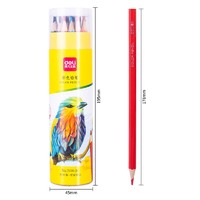 PLUS会员：deli 得力 DL-7070-24 油性彩色铅笔 24色