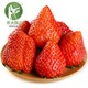 PLUS会员：农大腕儿 丹东奶油大草莓 3斤精选大果装（净重2.8斤）