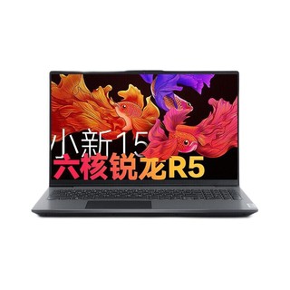 Lenovo 联想 小新15 2021款 五代锐龙版 15.6英寸 轻薄本 灰色 (锐龙R5-5500U、核芯显卡、16GB、512GB SSD、1080P、IPS)