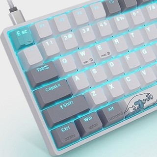 SKYLOONG 普通版 84键 蓝牙双模机械键盘 珊瑚海 国产黑轴 RGB