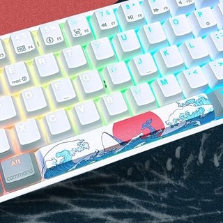SKYLOONG 普通版 96键 蓝牙双模机械键盘 珊瑚海 国产茶轴 RGB