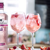 Gordon’s 哥顿 Premium Pink Distilled Flavoured Gin 70cl