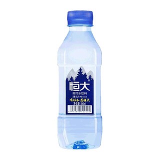 恒大 苏打水饮料 原味 360ml*24瓶