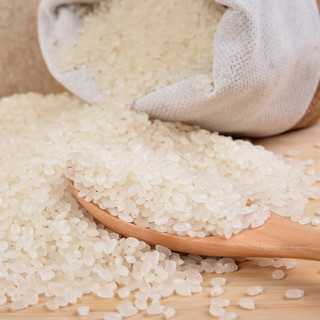 雪龙瑞斯 上海鲜稻米 5kg