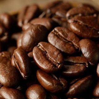 MEMBER'S MARK 会员制仓储店 哥伦比亚 中度烘焙 咖啡豆 1.13kg