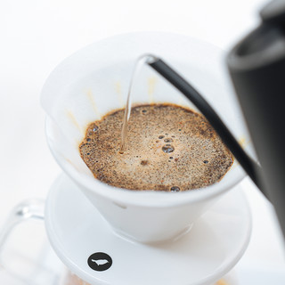 SATURNBIRD COFFEE 三顿半 埃塞俄比亚 古琦乌拉嘎G1水洗 浅度烘焙 咖啡豆 125g
