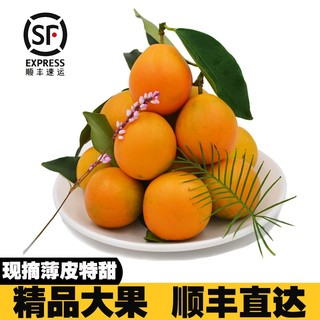 （绿色水果）广西融安金橘滑皮金桔小金橘年货礼盒水果柑橘当季生鲜（顺丰速运） 2斤大果（26-30颗/斤）彩箱装