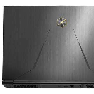 MECHREVO 机械革命 深海泰坦X10Pro 十一代酷睿版 17.3英寸 游戏本 黑色（酷睿i7-11800H、RTX 3070 8G、16GB、512GB SSD+2TB HDD、1080P、IPS、300Hz）