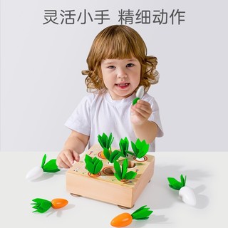 Dorjee儿童婴幼儿早教启智拔萝卜玩具