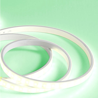 宝俪煌 MDY-002C LED灯带 8W 三色光 条形