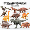 童德 儿童仿真动物恐龙模型