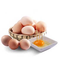 PLUS会员：广供天下 农家散养土鸡蛋 白壳鸡蛋 10枚
