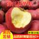洛川丑苹果陕西红富士70-75mm 9斤