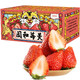 PLUS会员：NONGJIAXINYU 农家新语 丹东99红颜草莓  3斤大果礼盒装