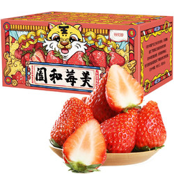 NONGJIAXINYU 农家新语 丹东99红颜草莓  3斤大果礼盒装
