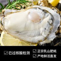 春鲤集市 乳山生蚝 XL号五斤装 （ 约16～25只）