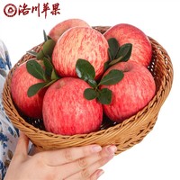 PLUS会员：luochuanapple 洛川苹果 红富士苹果礼盒装 70~75mm 整箱十斤