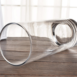 HOSTLY 豪斯特丽 直筒玻璃花瓶 φ25*25cm