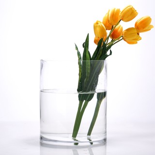 HOSTLY 豪斯特丽 直筒玻璃花瓶 φ25*25cm