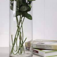 HOSTLY 豪斯特丽 直筒玻璃花瓶 φ20*50cm