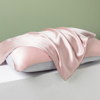 太湖雪 桑蚕丝枕套 茱萸粉 48*74cm