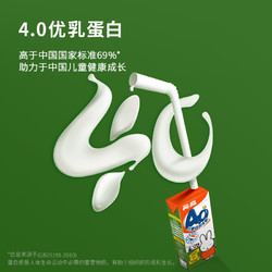 Globemilk 荷高 荷兰进口 4.0g米菲儿童高钙成长牛奶 200ml