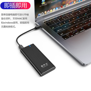 黑甲虫（KINGIDISK）固态移动硬盘迷你手机硬盘兼容MAC支持安卓手机外接可定制 升级款金属拉丝黑 512G（USB3.1Gen2峰值520M/s）