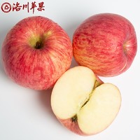 luochuanapple 洛川苹果 水果礼盒装 9枚  80mm