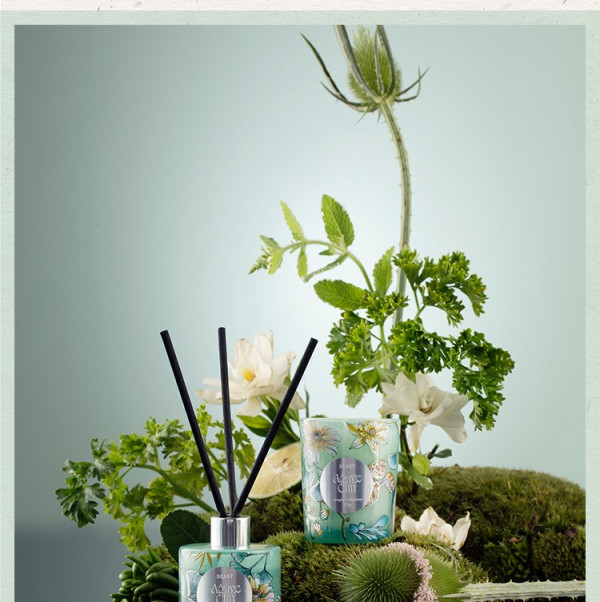 野兽派香薰烛_the beast 野兽派 香氛礼盒 50ml 清新龙舌兰 三八节