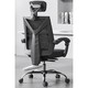HBADA 黑白调 HDNY132-干练 人体工学椅 黑色标准款