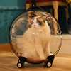 mdeho/麦德豪 猫包外出便携拉杆箱太空舱猫咪背包外出包大容量透明宠物用品神器 拼接白色拉杆包