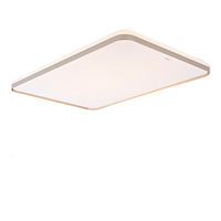 Panasonic 松下 吸顶灯套装