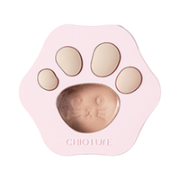 CHIOTURE 稚优泉 萌爪甜心腮红 #803特调裸杏 3.3g