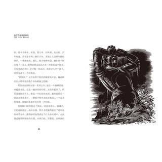 《长青藤国际大奖小说书系·铁巨人和他的朋友》